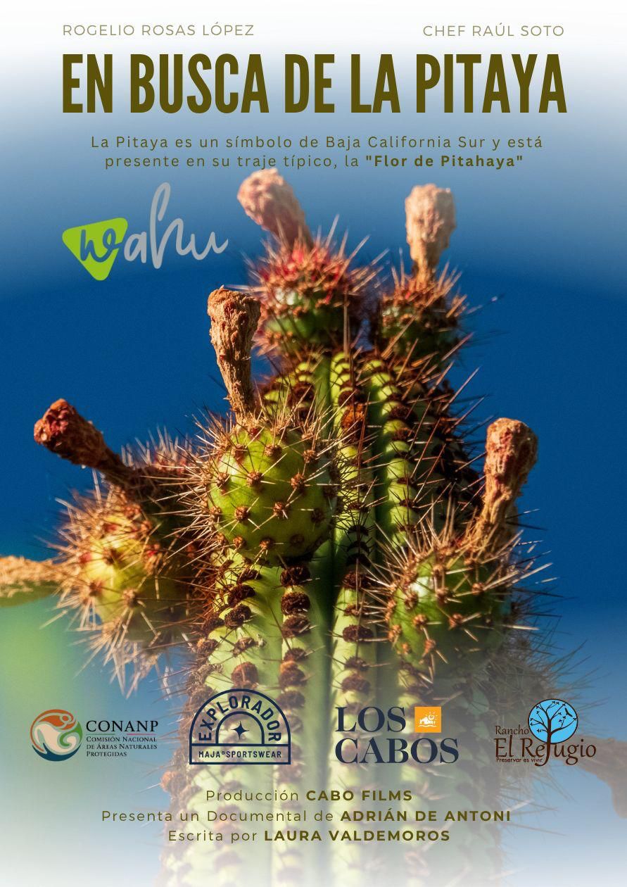 Poster de En busca de la Pitaya