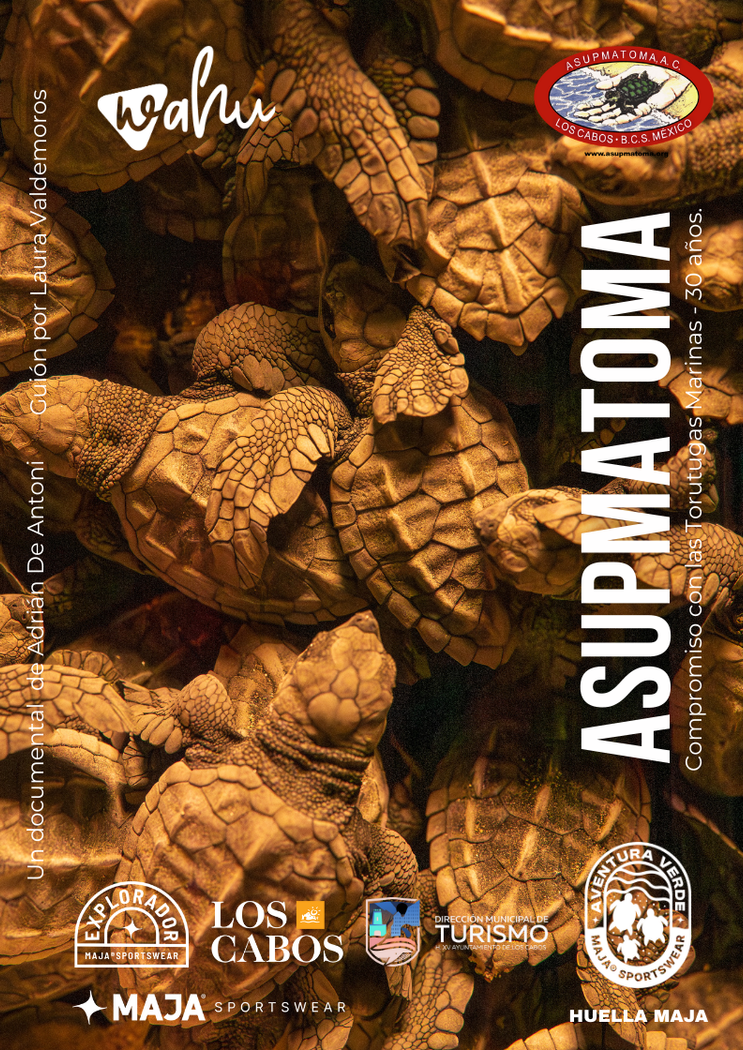 Poster de ASUPMATOMA