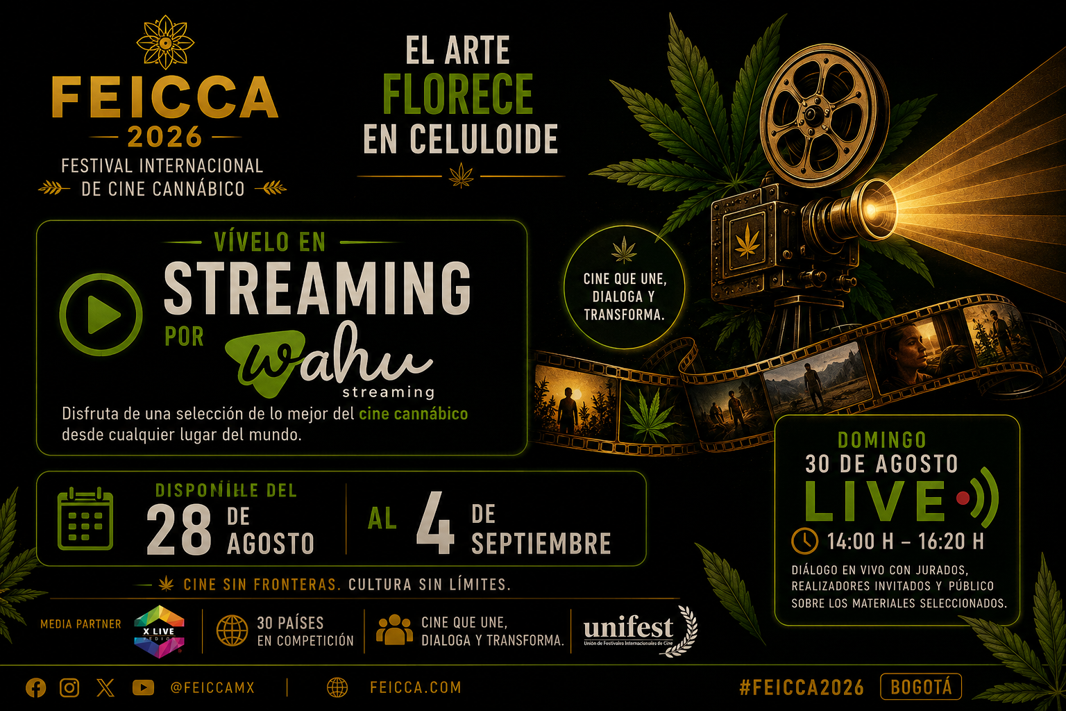 FEICCA