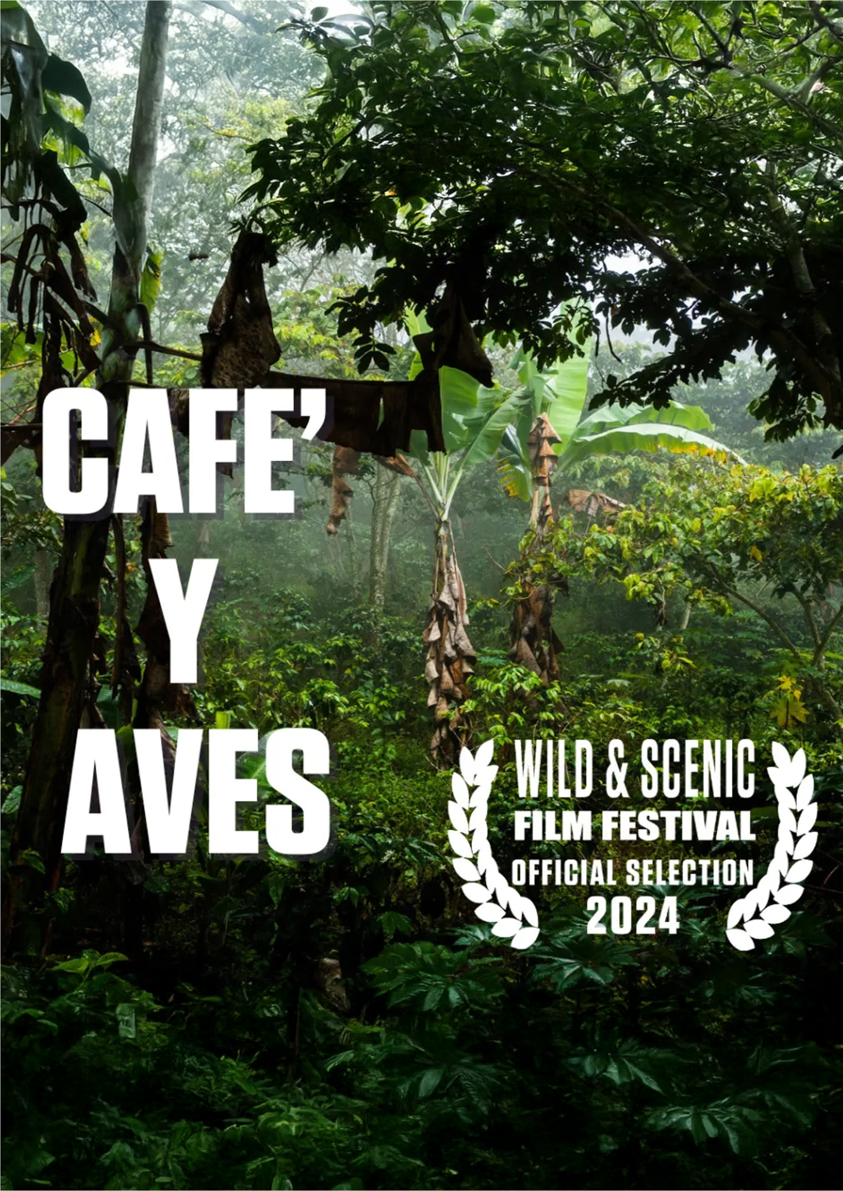 Café y Aves thumbnail image