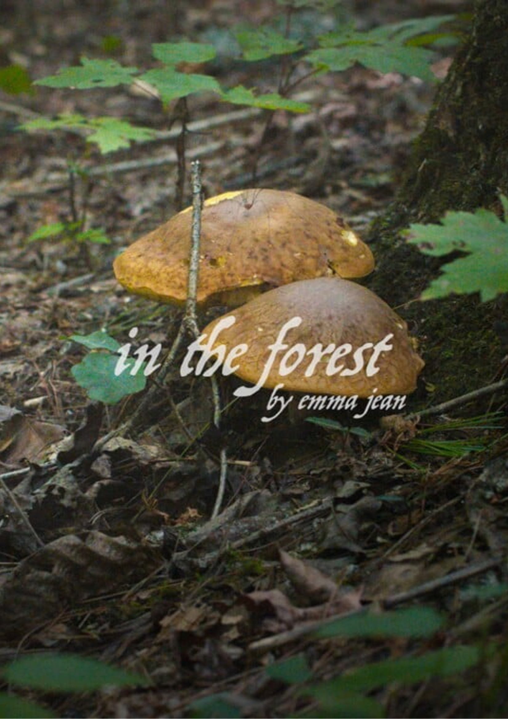 In the forest thumbnail image