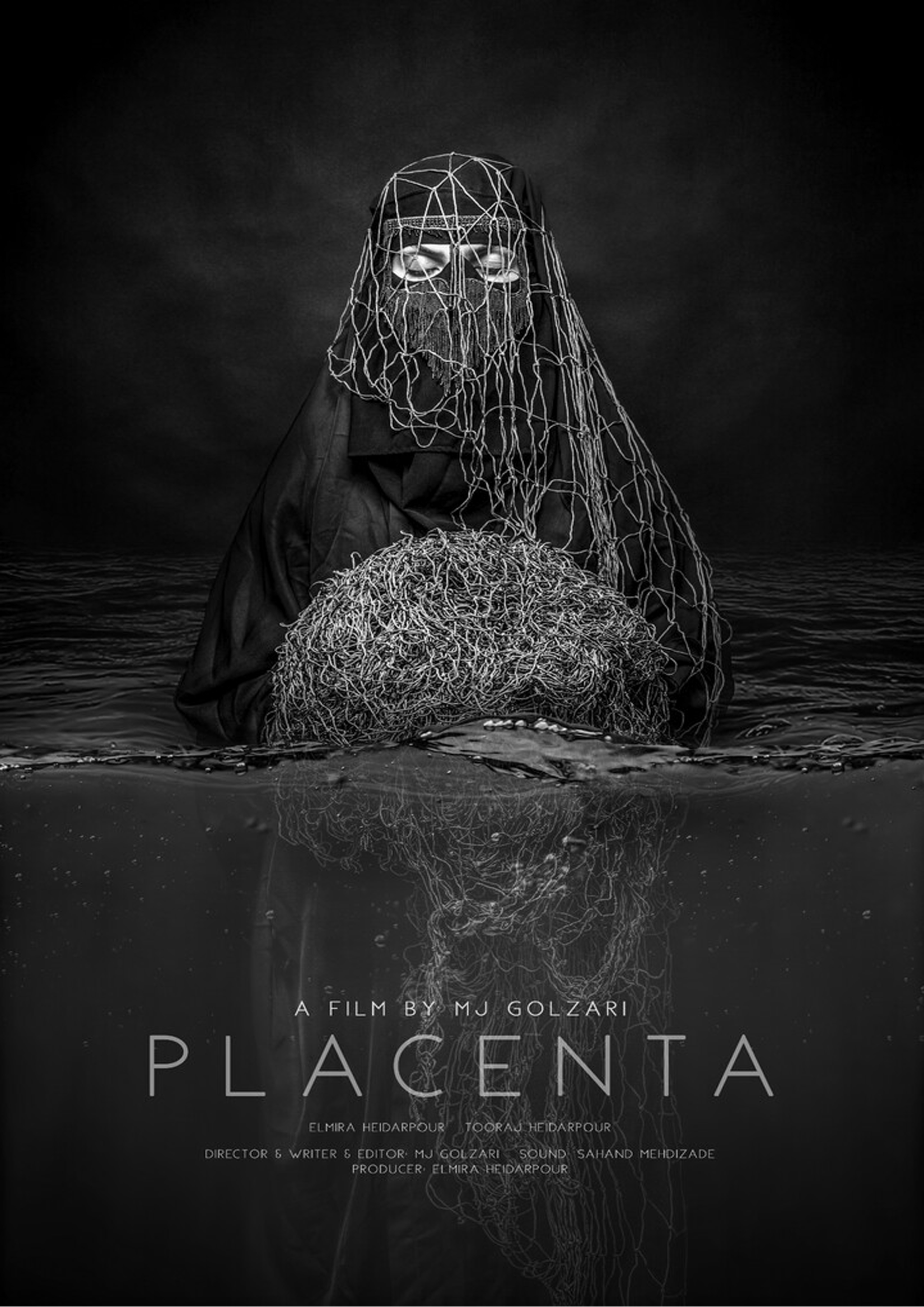 Placenta thumbnail image