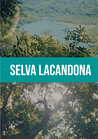 Selva Lacandona thumbnail image