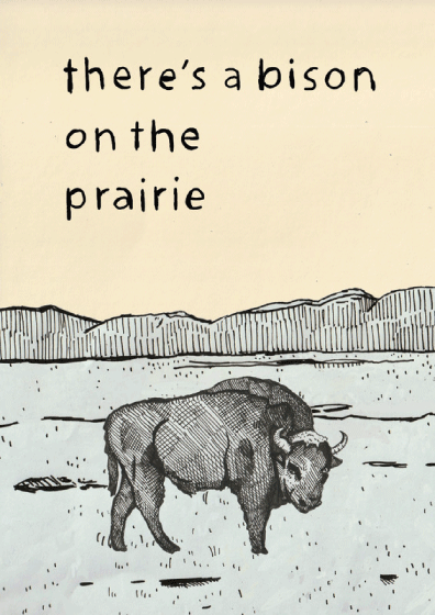 There's a Bison on The Prairie thumbnail image