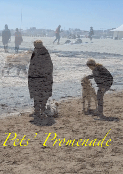 Pets' Promenade thumbnail image