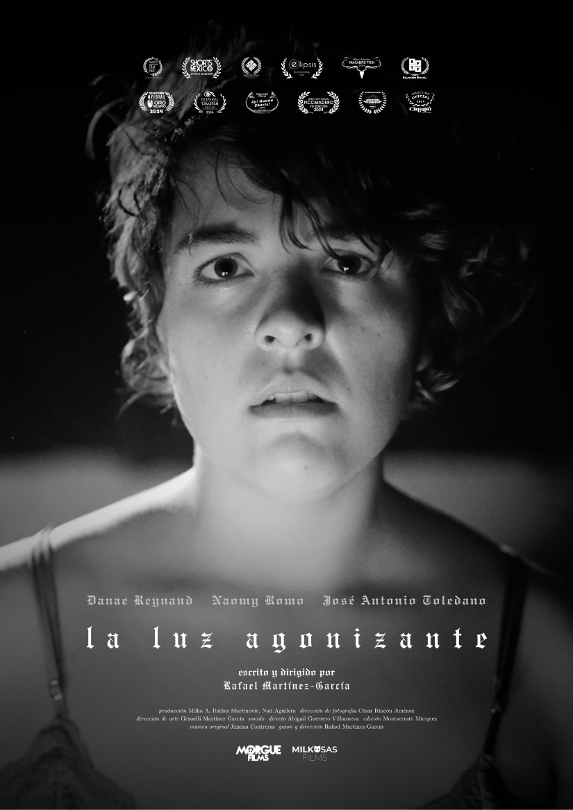 La luz agonizante thumbnail image