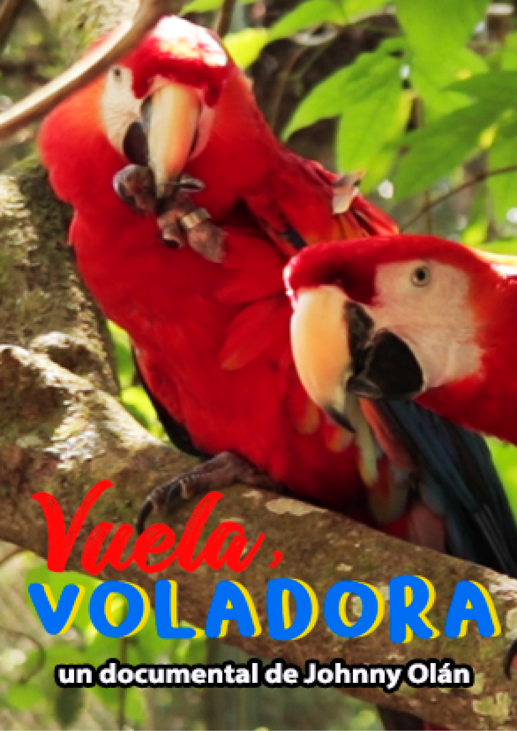 Vuela voladora